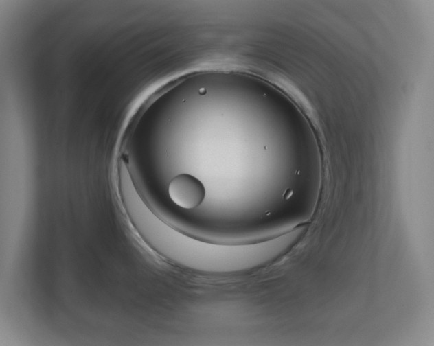 X0000110881344200906251241