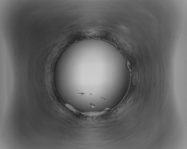 X0000110881345200906251240