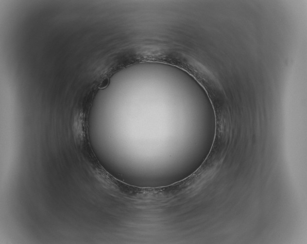 X0000110881346200906251240