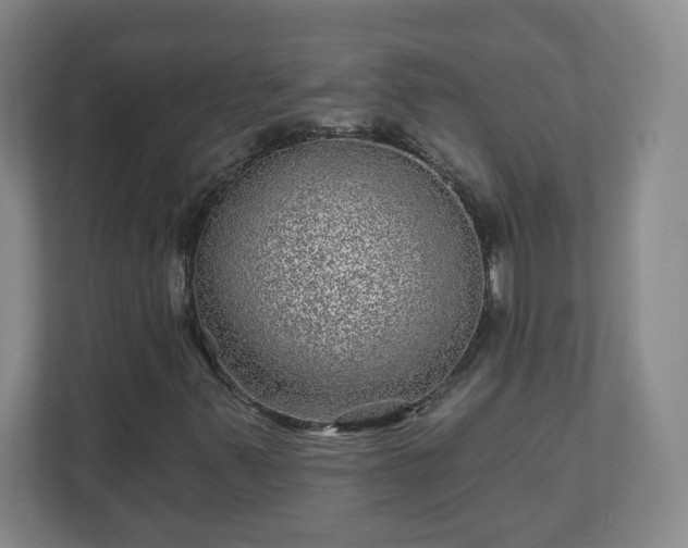 X0000110881347200906251240