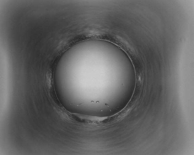 X0000110881348200906251240