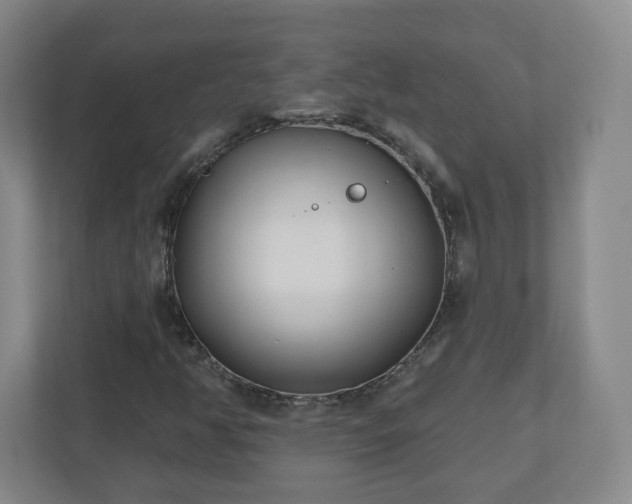 X0000110881350200906251240