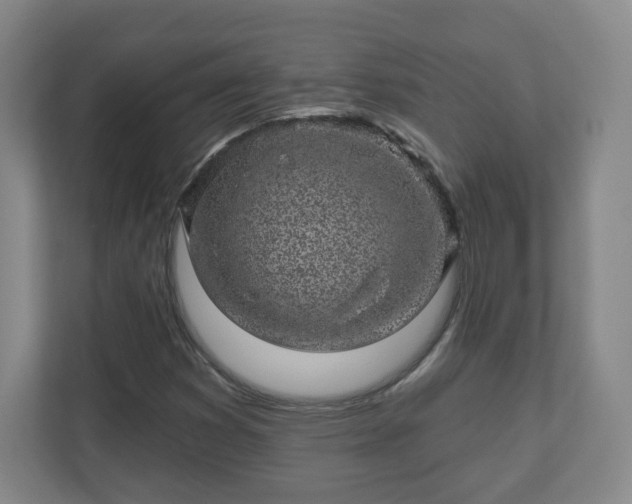 X0000110881353200906251240