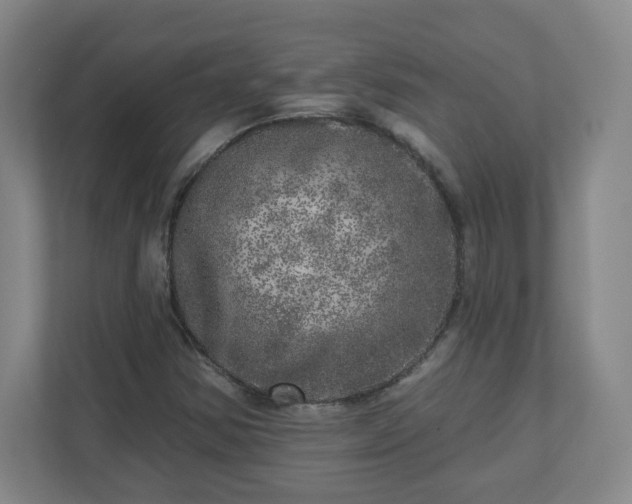 X0000110881354200906251240