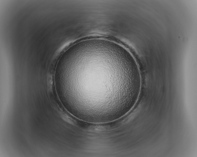 X0000110881355200906251240