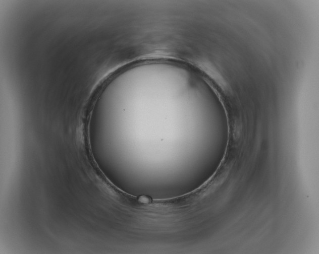 X0000110881356200906251240