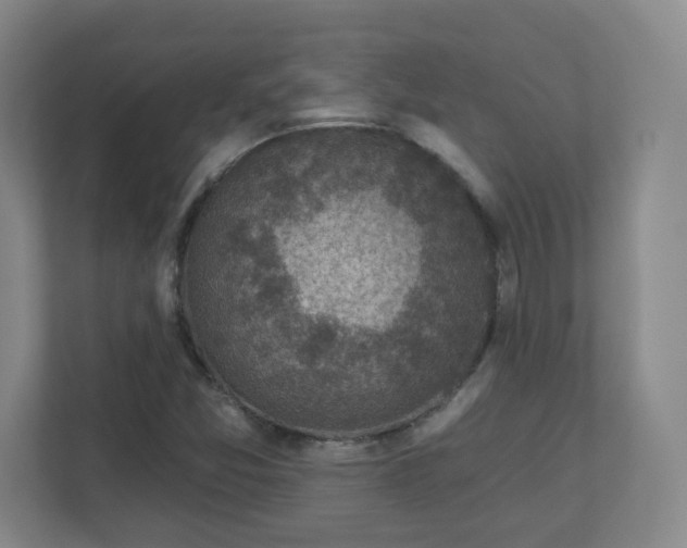X0000110881357200906251240