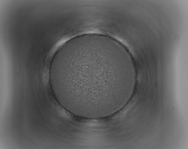 X0000110881359200906251240