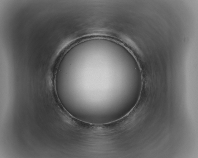 X0000110881360200906251240