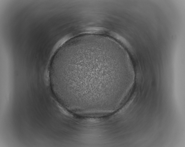 X0000110881362200906251240