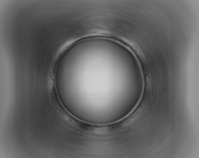 X0000110881363200906251240