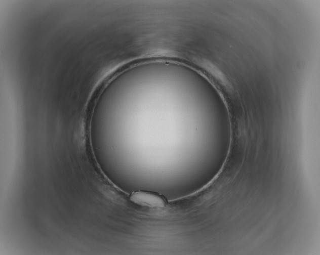 X0000110881364200906251240