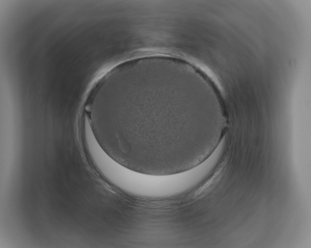 X0000110881365200906251240
