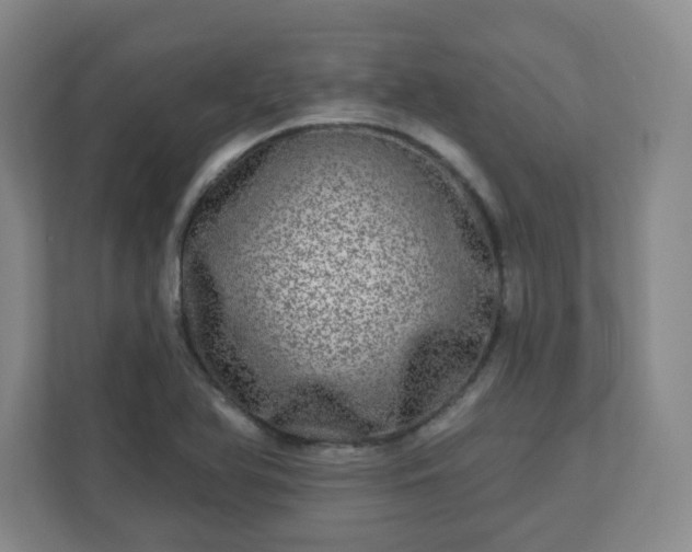 X0000110881366200906251240