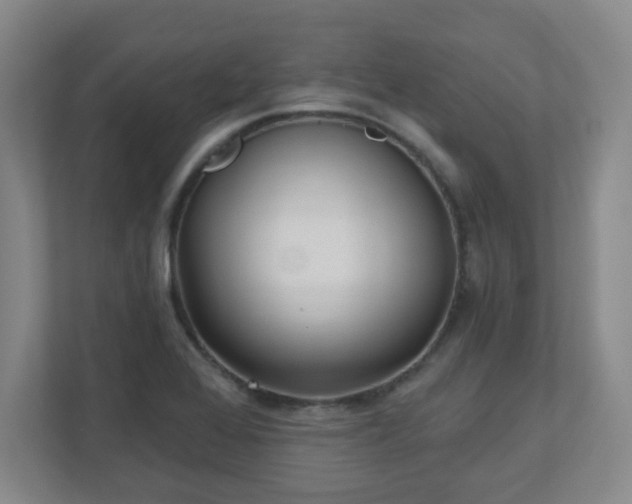 X0000110881368200906251240