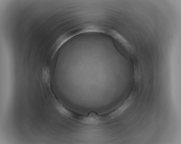 X0000110881369200906251240