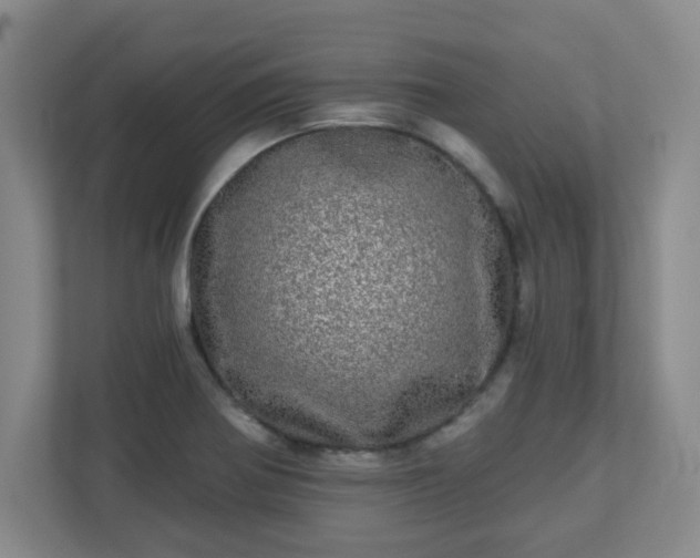 X0000110881370200906251240