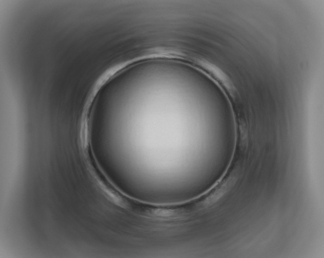 X0000110881371200906251240