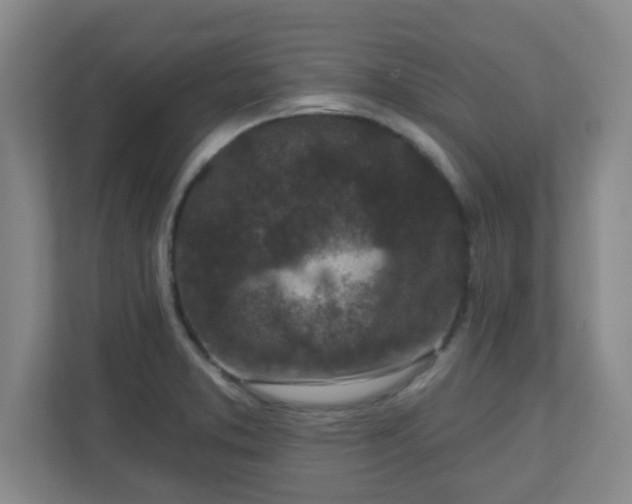 X0000110881373200906251240