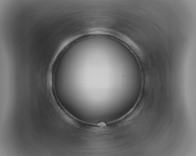 X0000110881376200906251240