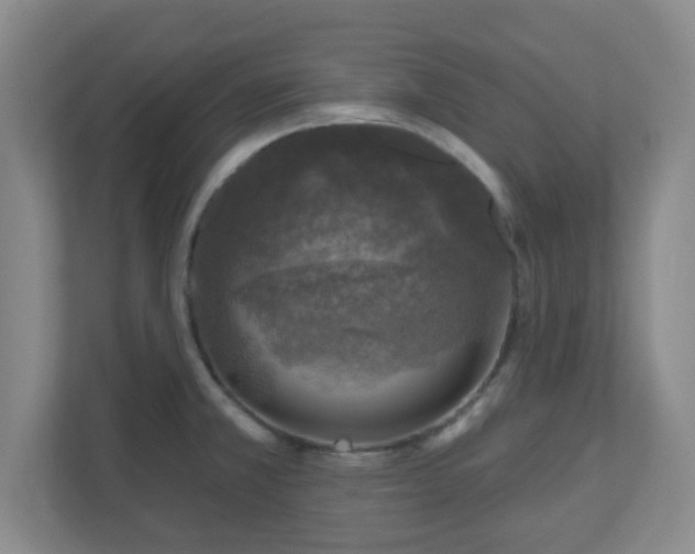 X0000110881381200906251240