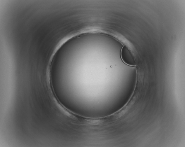 X0000110881382200906251240