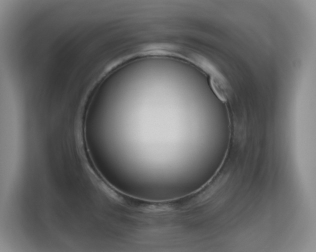 X0000110881384200906251240