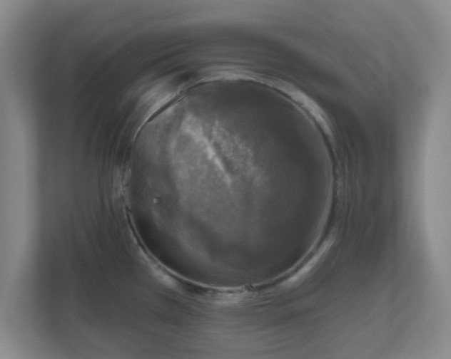 X0000110881385200906251240