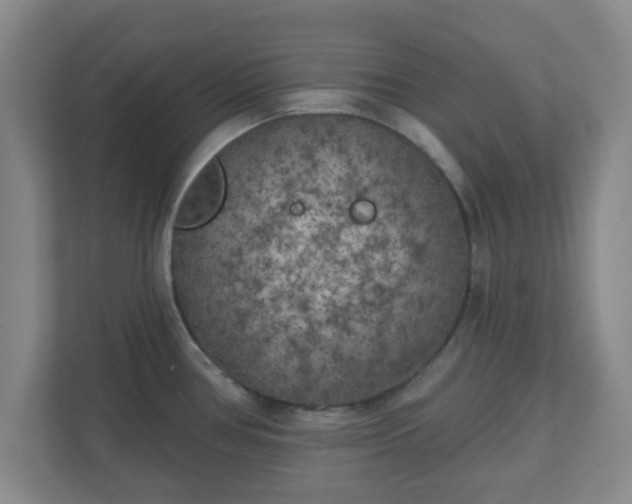 X0000110881386200906251240