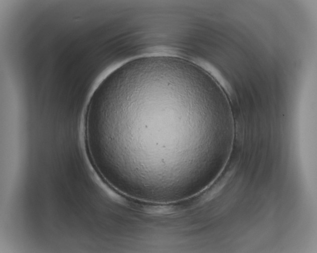 X0000110881387200906251240