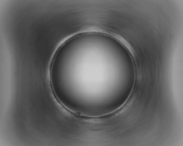 X0000110881388200906251240
