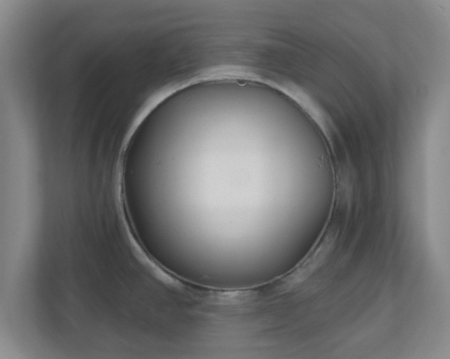 X0000110881390200906251240