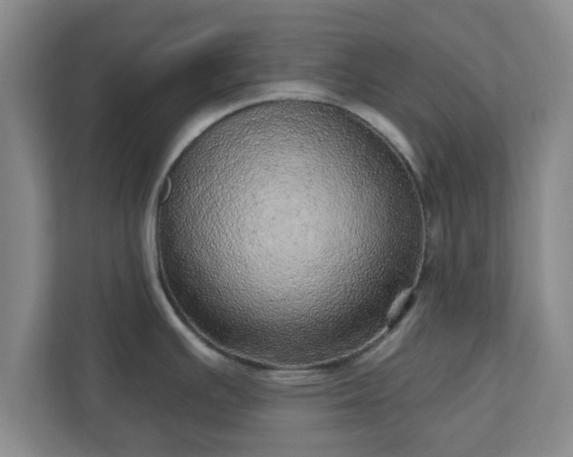 X0000110881391200906251240