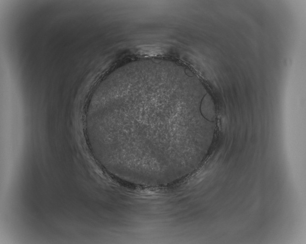 X0000110881393200906251239