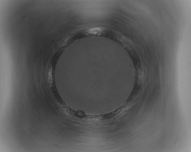 X0000110881394200906251239