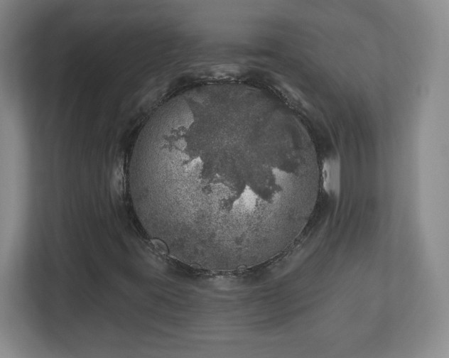 X0000110881395200906251239