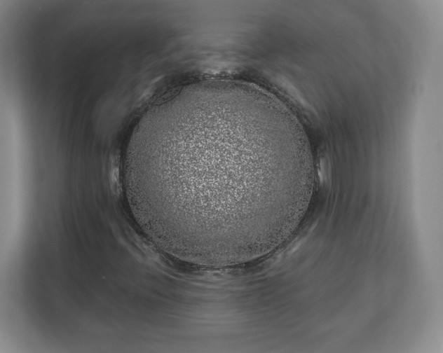 X0000110881396200906251239