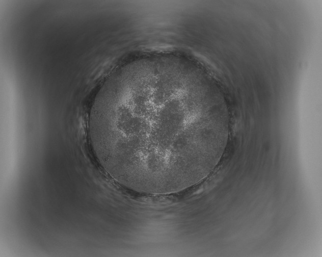 X0000110881397200906251239
