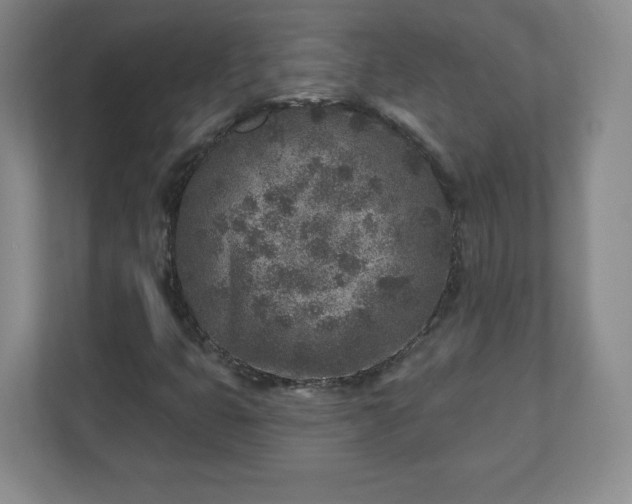 X0000110881399200906251239