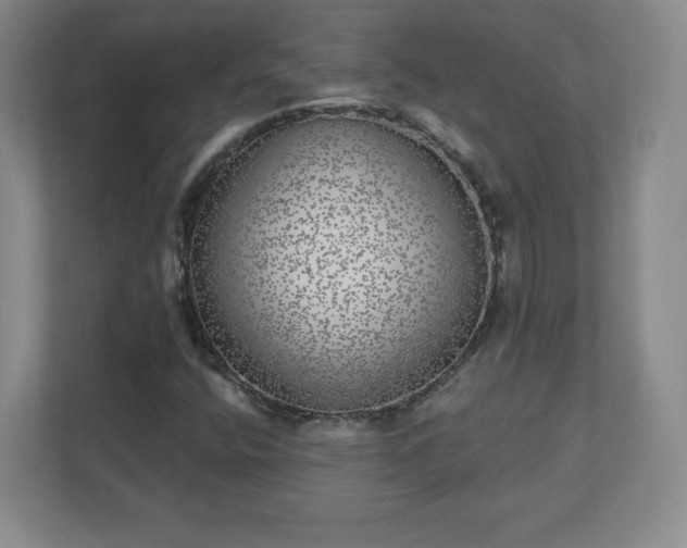X0000110881400200906251239