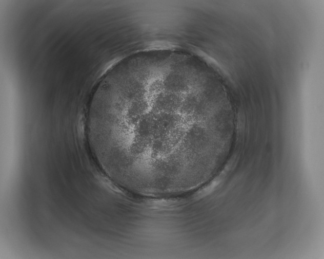 X0000110881401200906251239