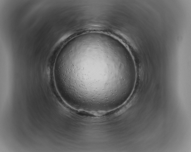 X0000110881402200906251239
