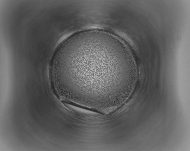 X0000110881404200906251239