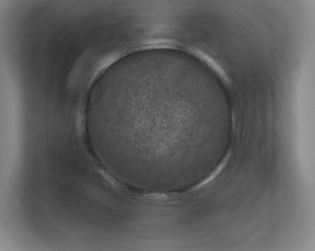X0000110881405200906251239