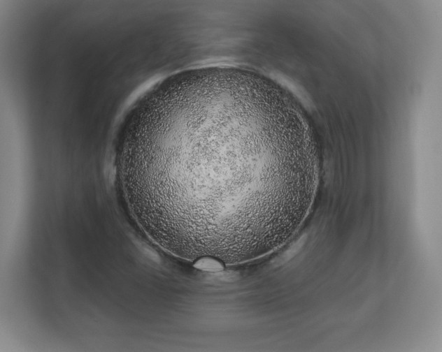 X0000110881406200906251239