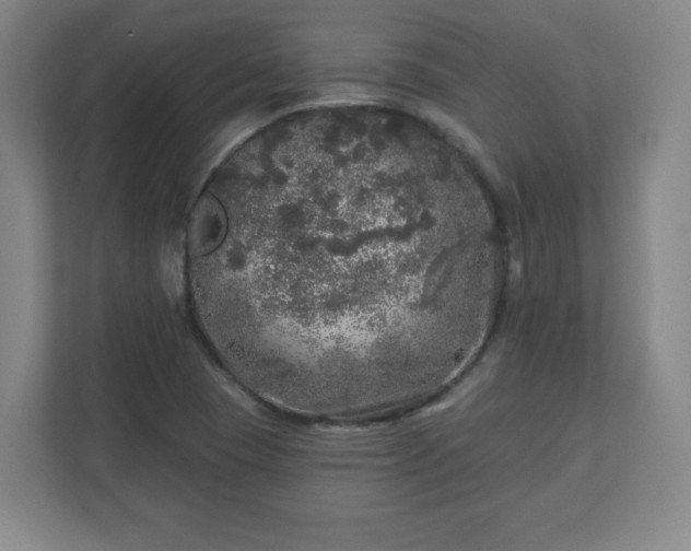 X0000110881409200906251239