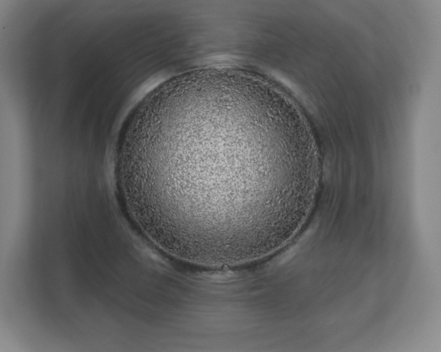 X0000110881410200906251239