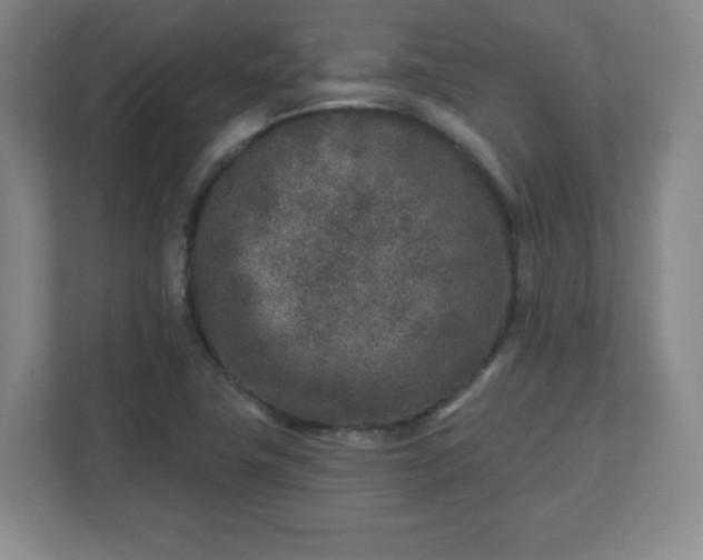X0000110881411200906251239