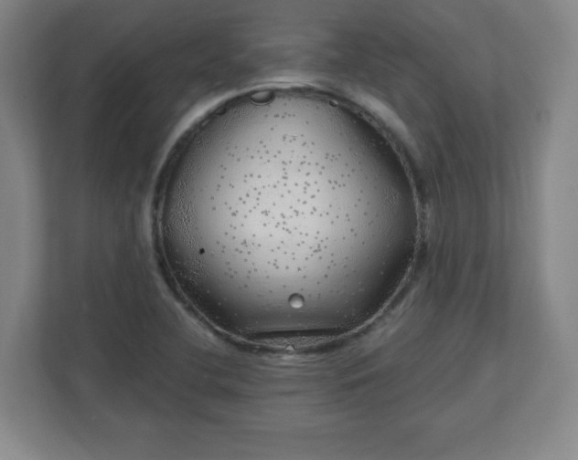 X0000110881412200906251239