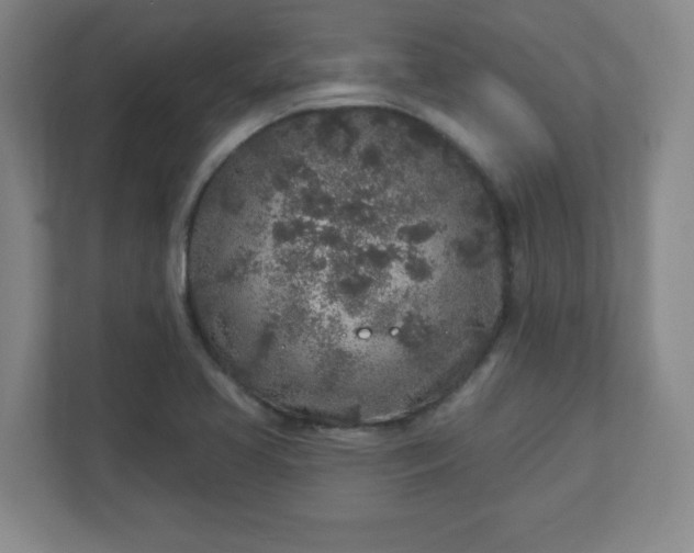 X0000110881413200906251239
